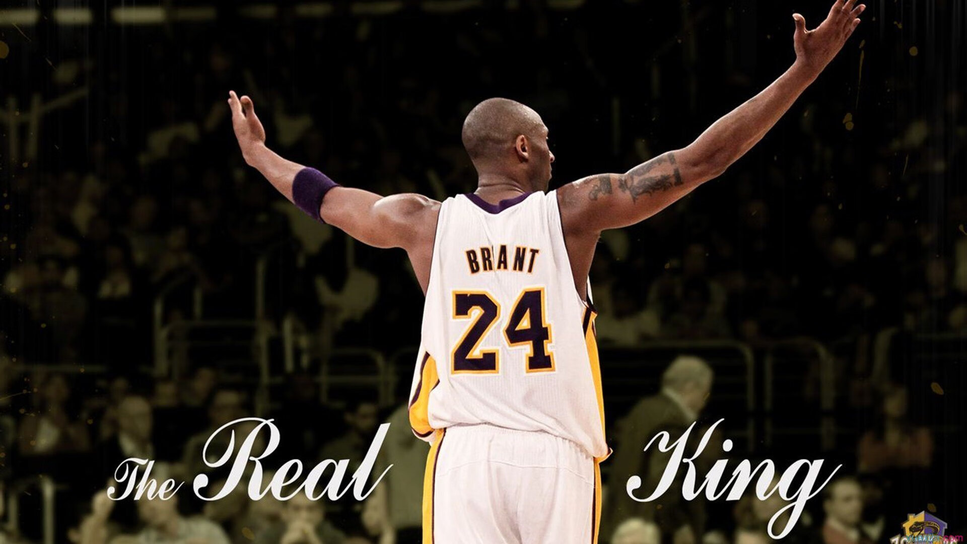 世界棋王快棋对决中国新星力挫对手,快棋赛规则